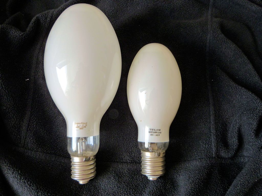 lampy