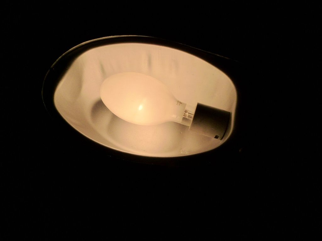 lampy