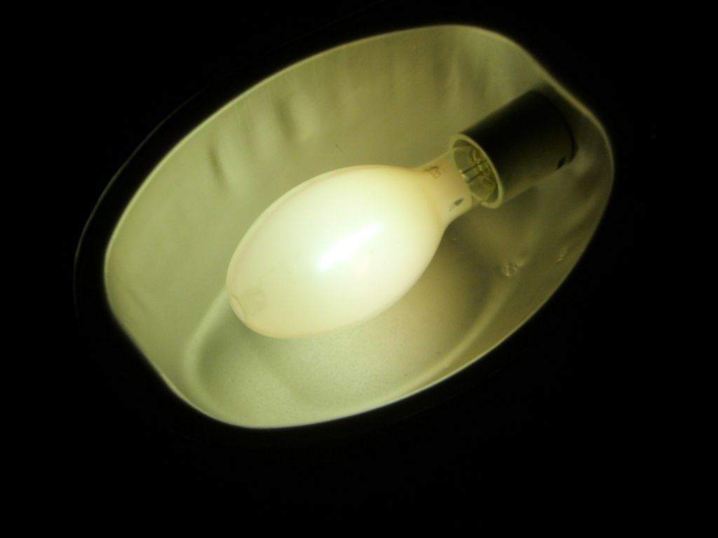 lampy