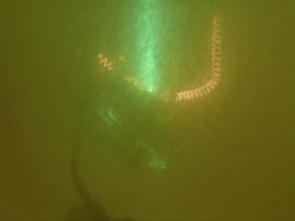lampy