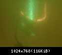 lampy