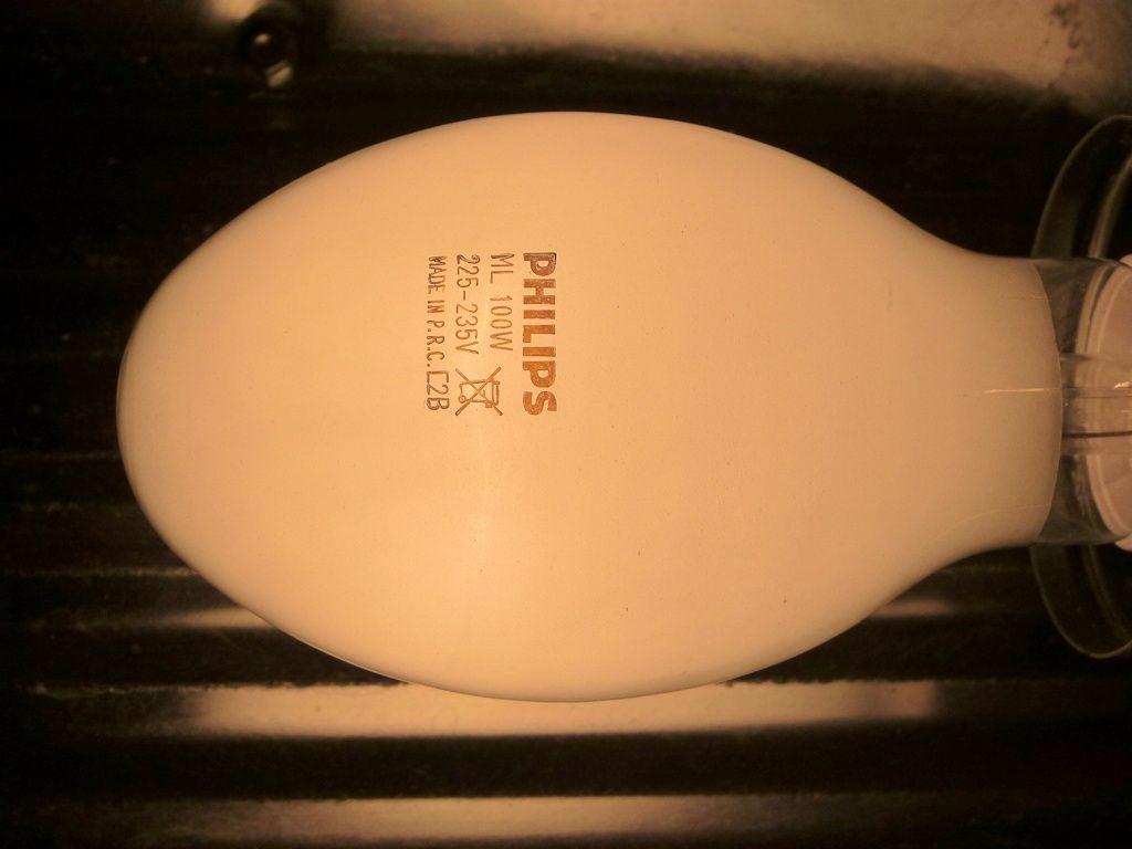 lampy