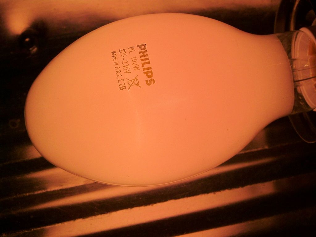 lampy