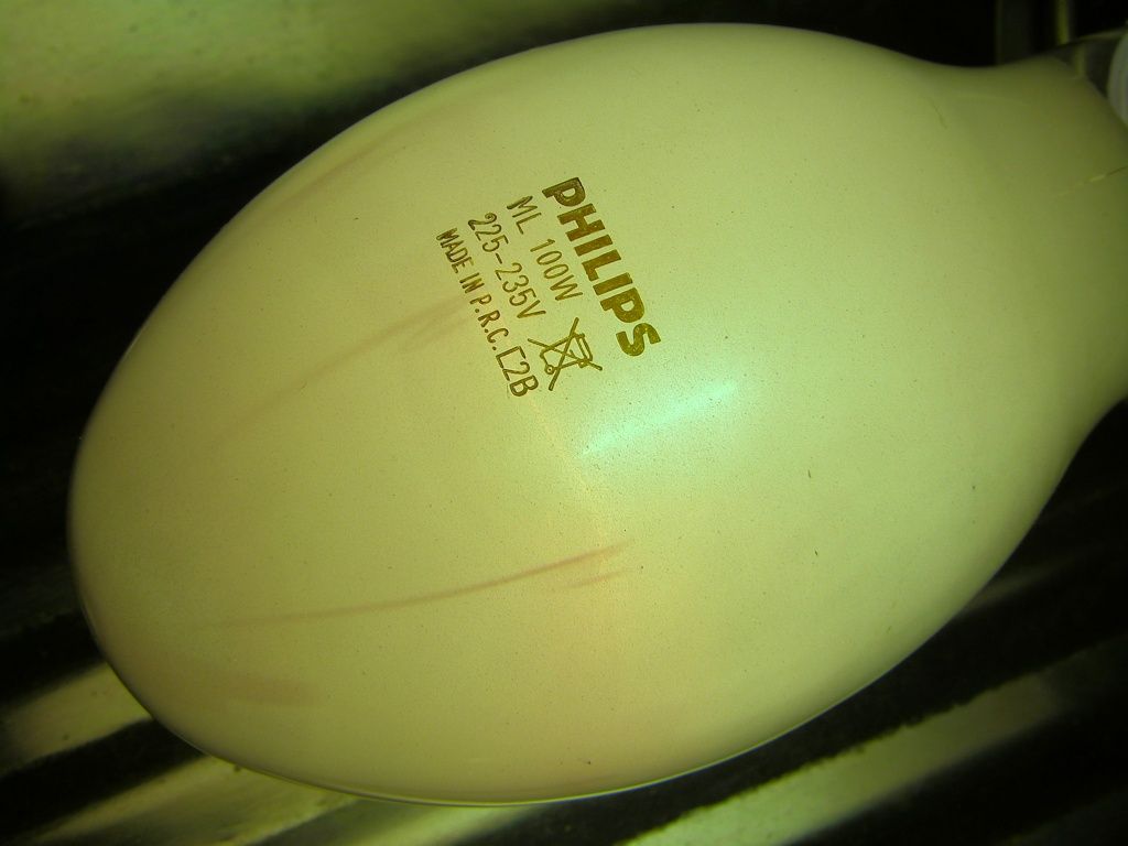 lampy