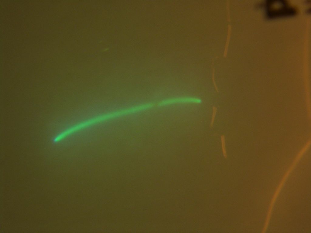 lampy