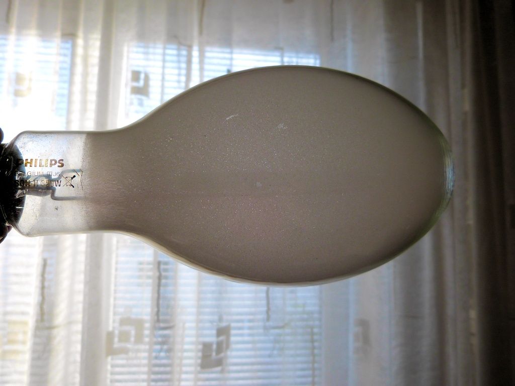 lampy