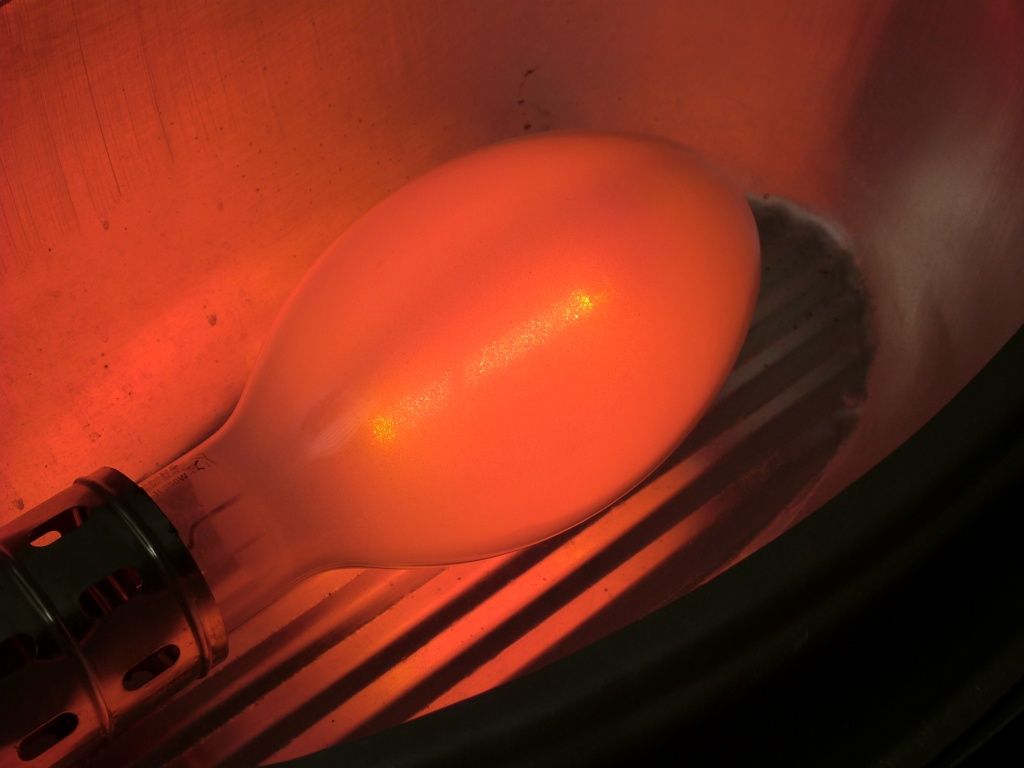 lampy