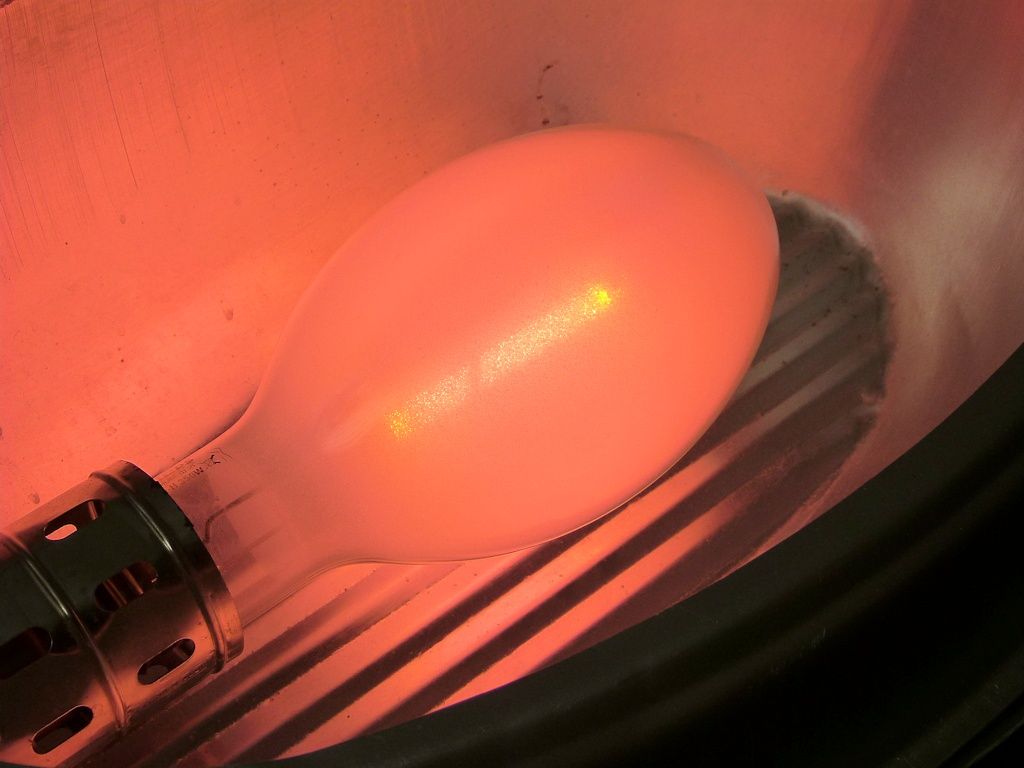 lampy