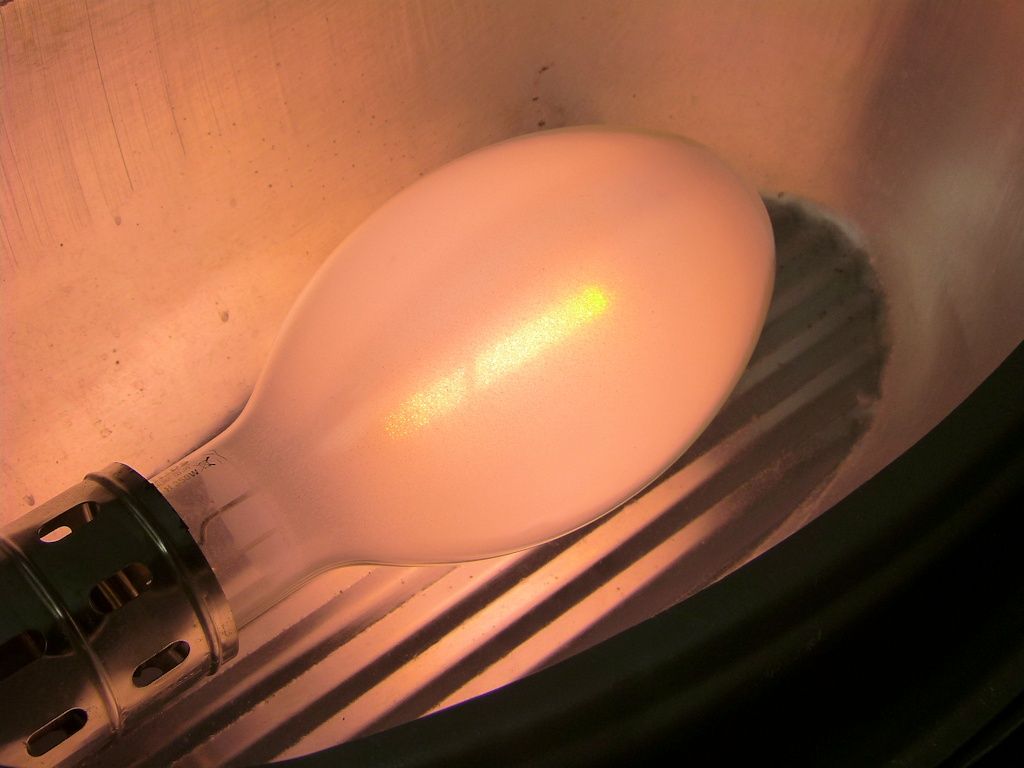 lampy
