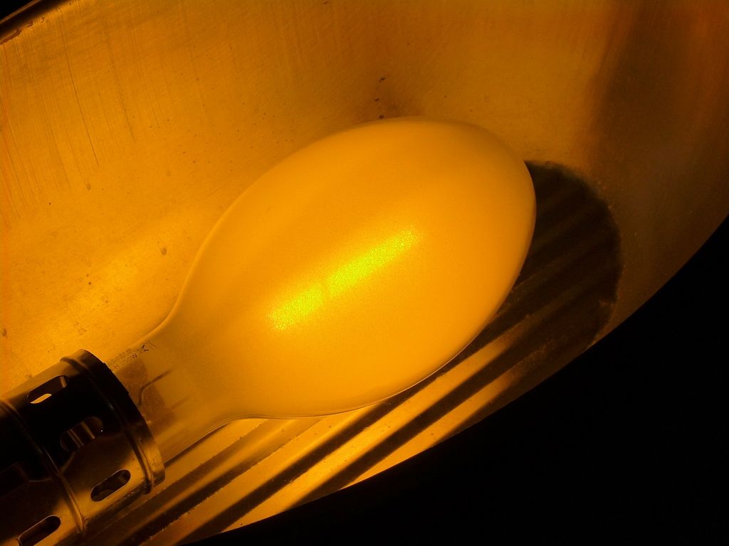 lampy