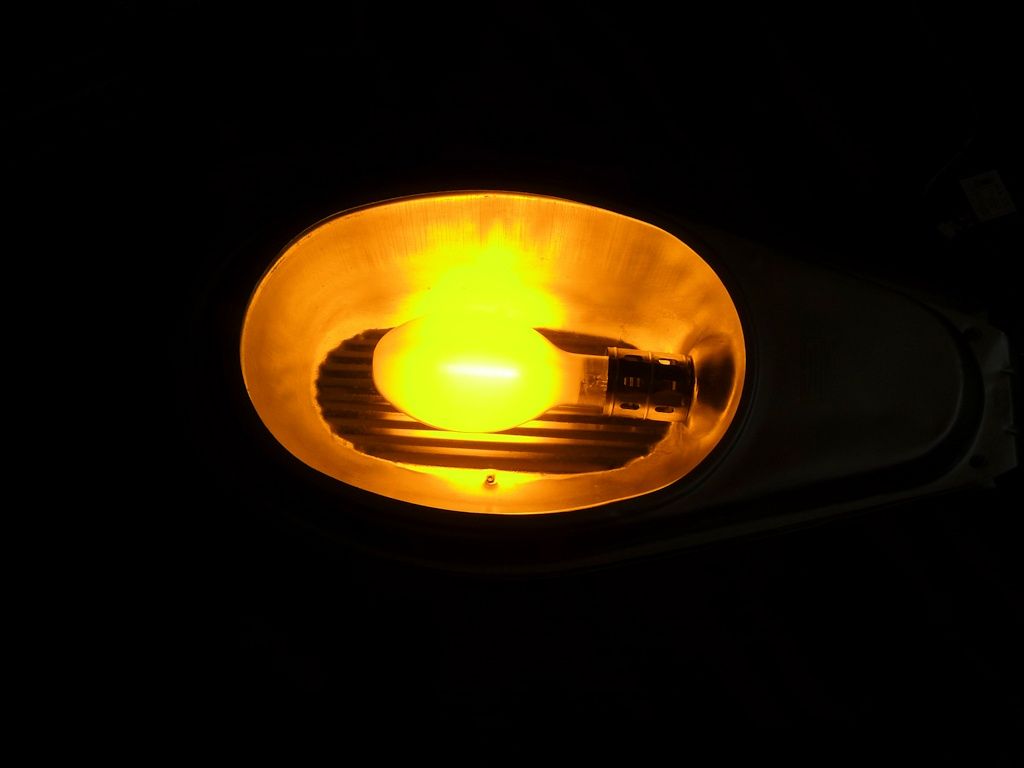 lampy