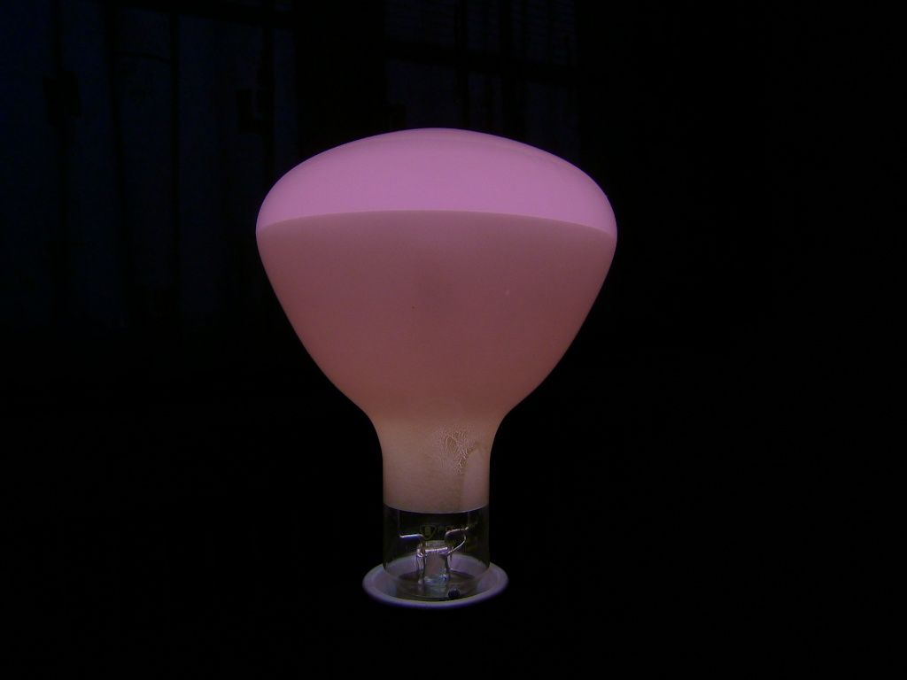 P1100981