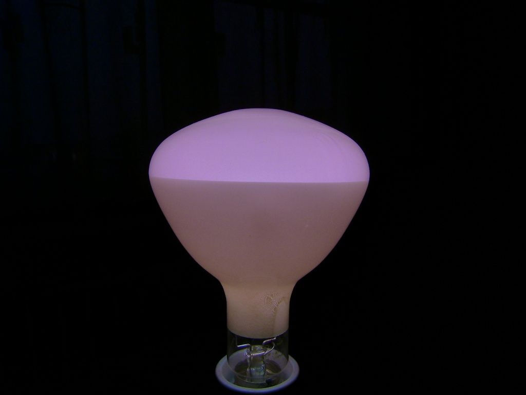 P1100982