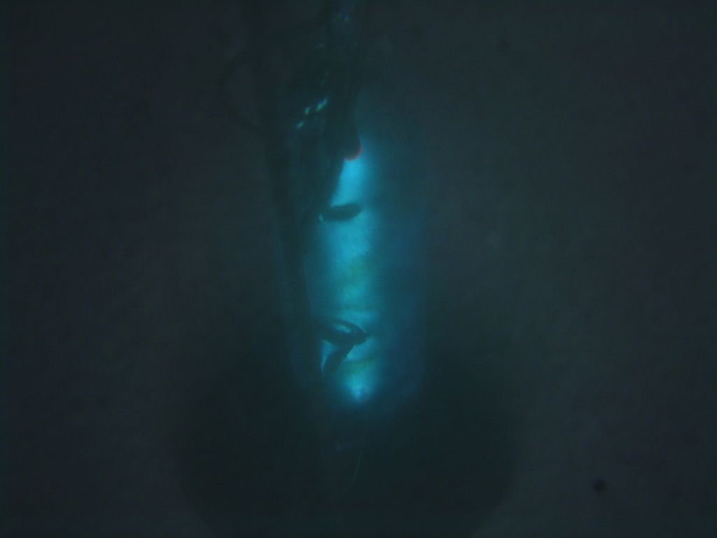 P1100991