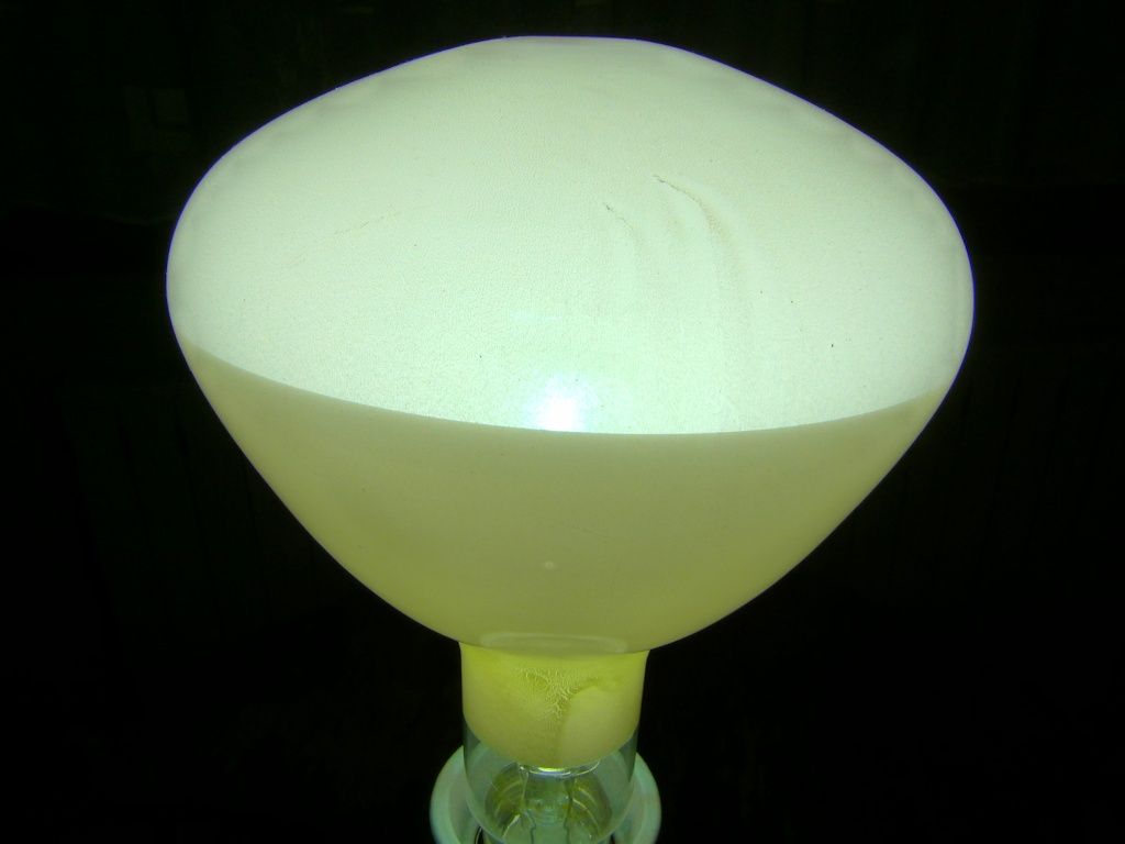 P1110006