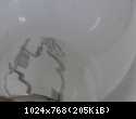 lampy