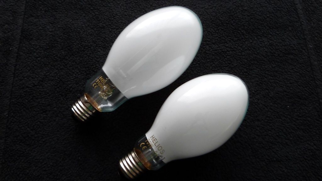 lampy