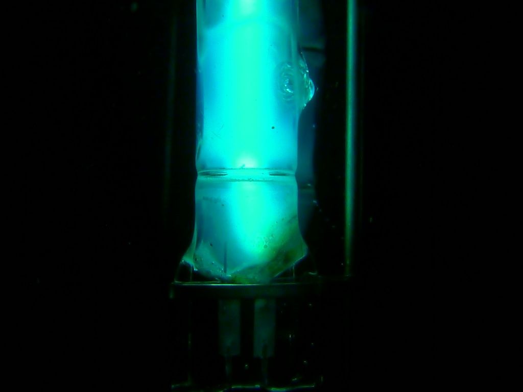 P1110761