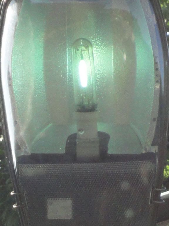 leda 36