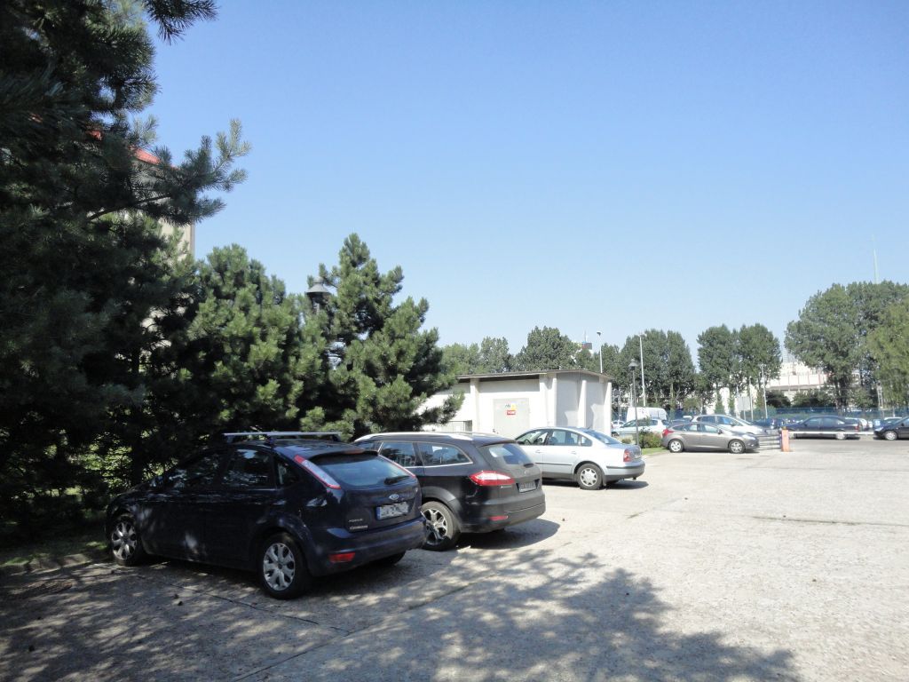 chipolbrok 1