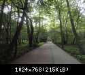 szyszki 3