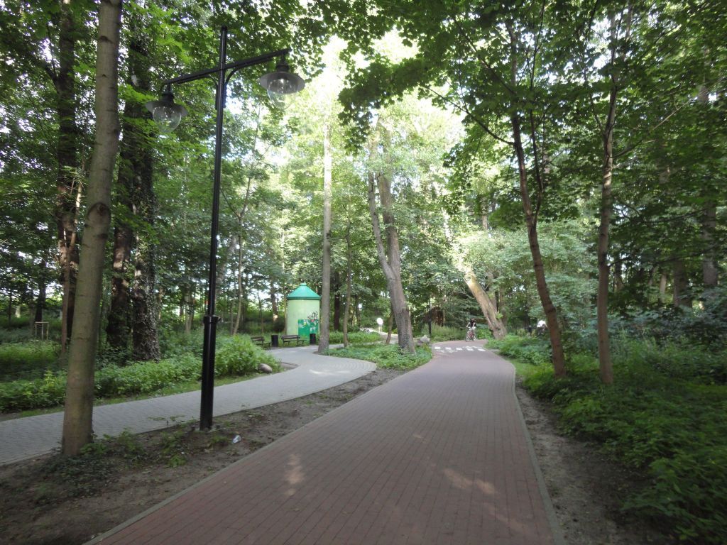 szyszki 8