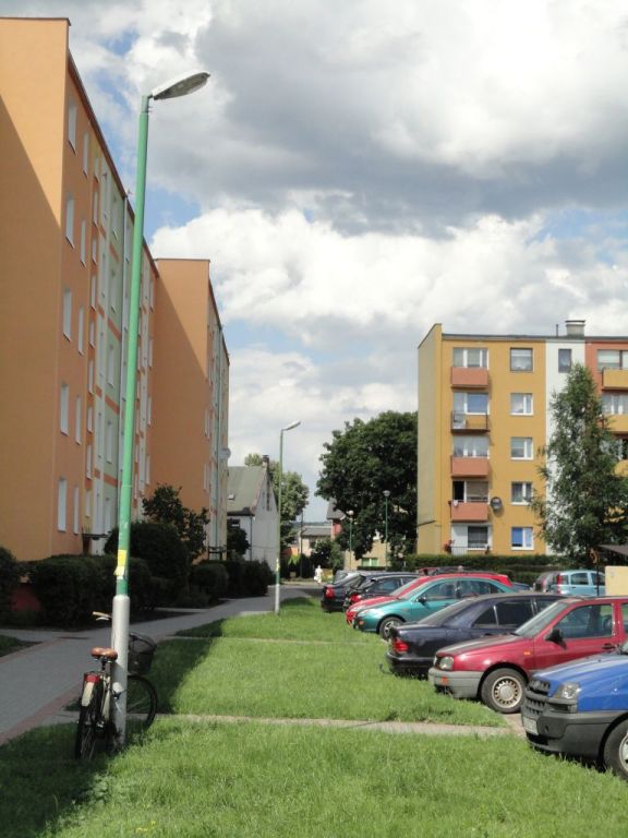 Novum 7