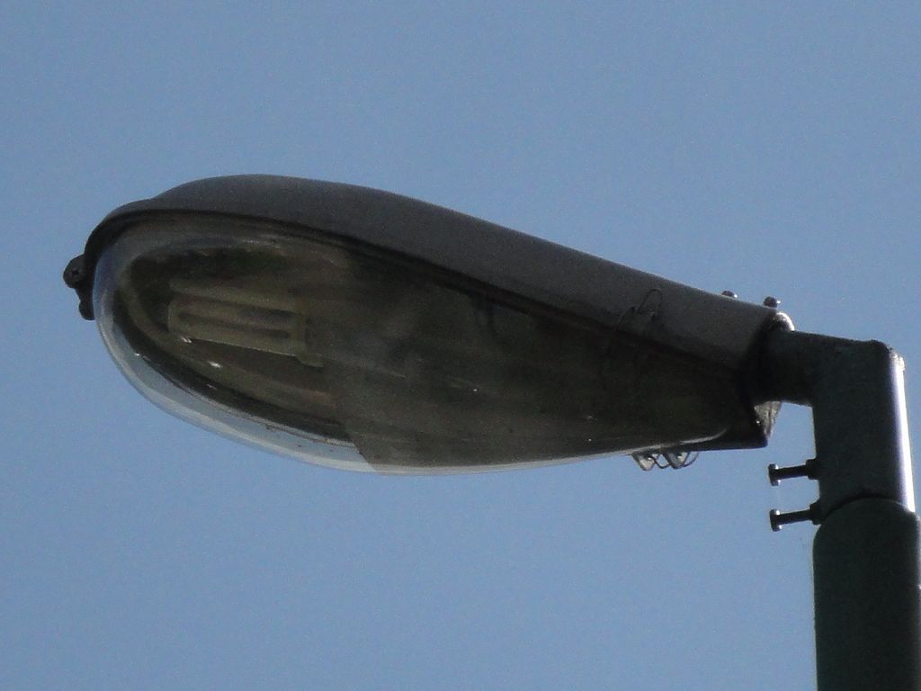 Novum 8