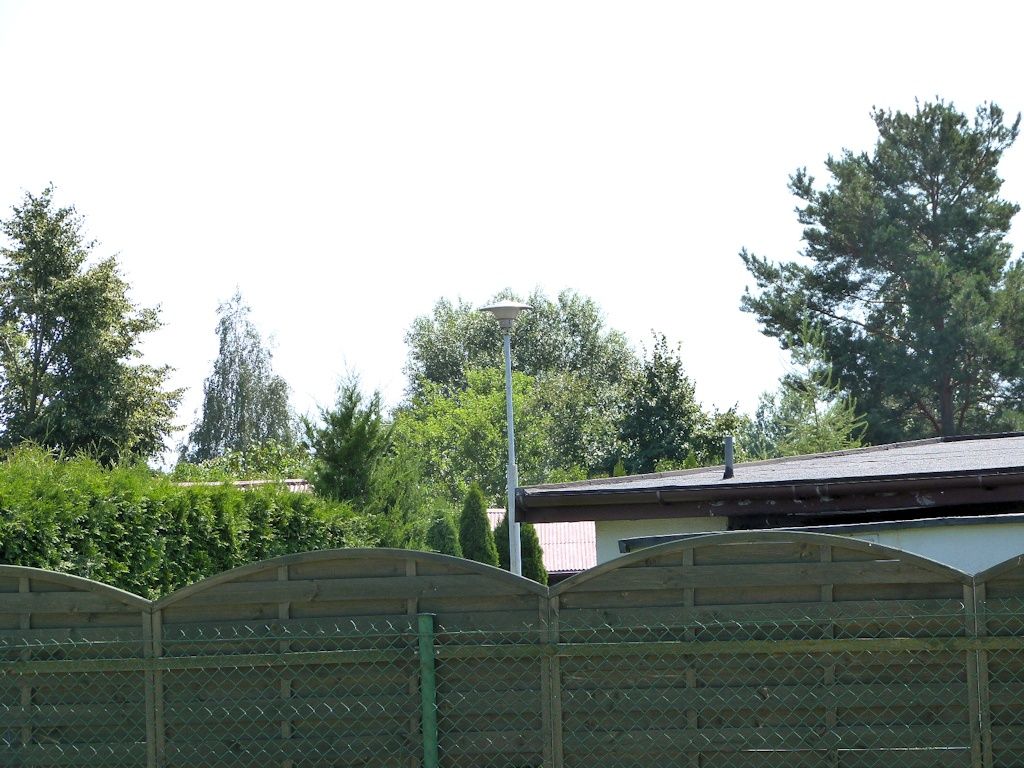 ODR80