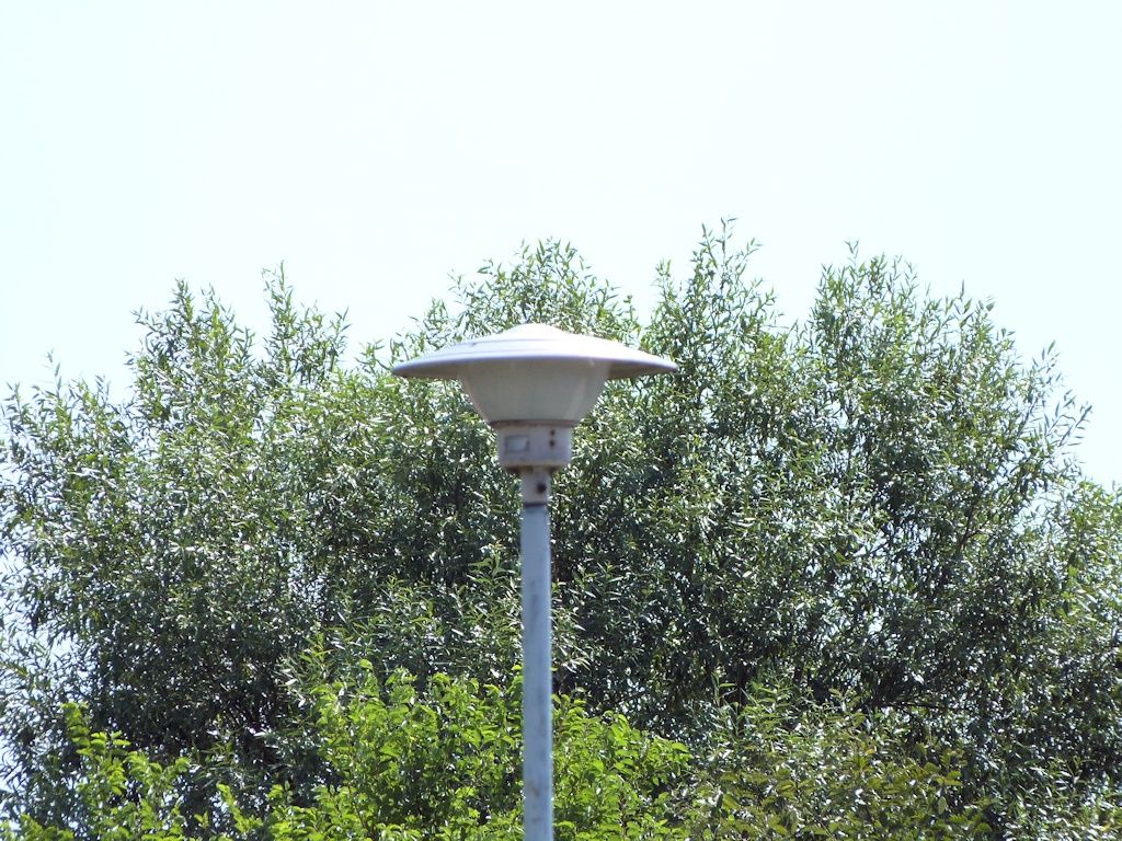 ODR80