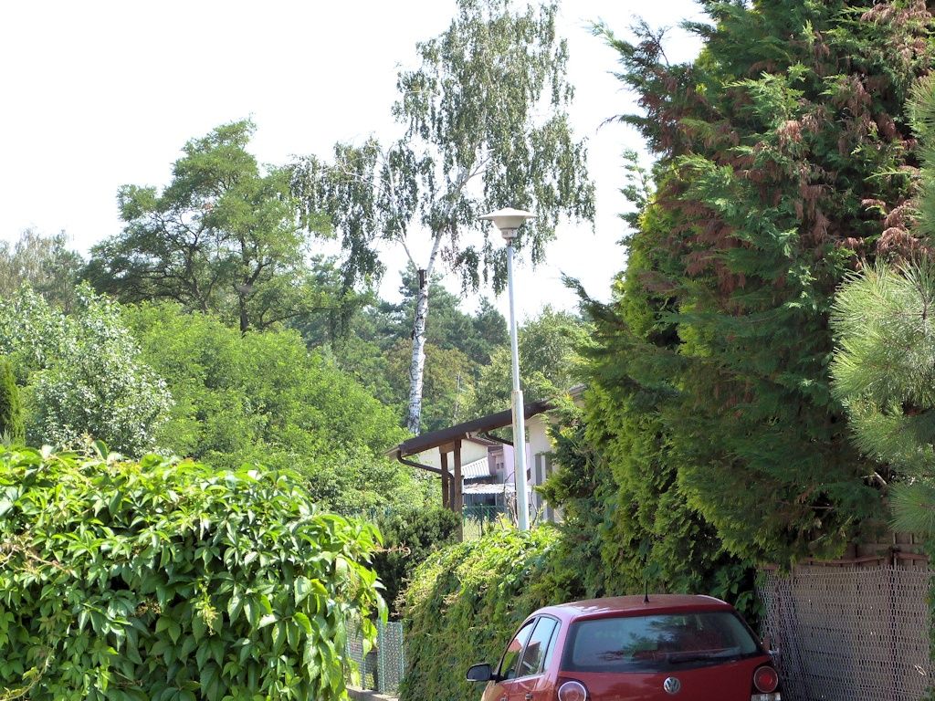 ODR80
