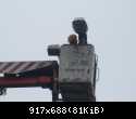 100 3303