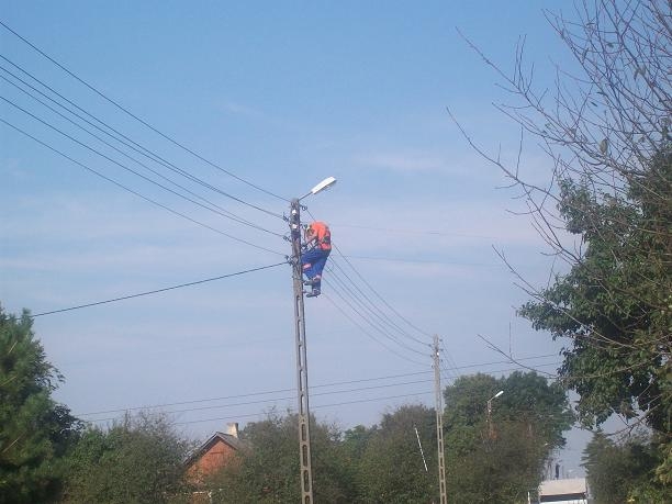Wycinka gałęzi, konserwacja sieci, zakładanie rozpórek na jednym z obwodów nN stacji trafo Zakrzówek 5