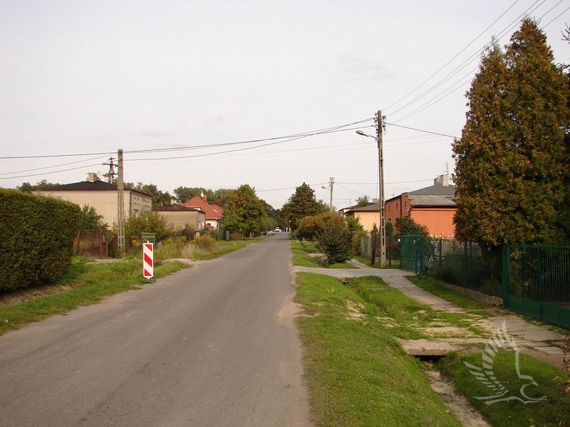 DSC07651