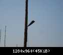 10029