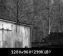 10312