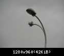 11087