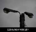 11133