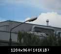 13442