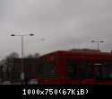 25619