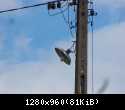 29241