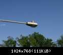 31281