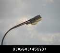 40831
