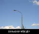 41037