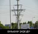 49961