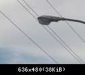 7567