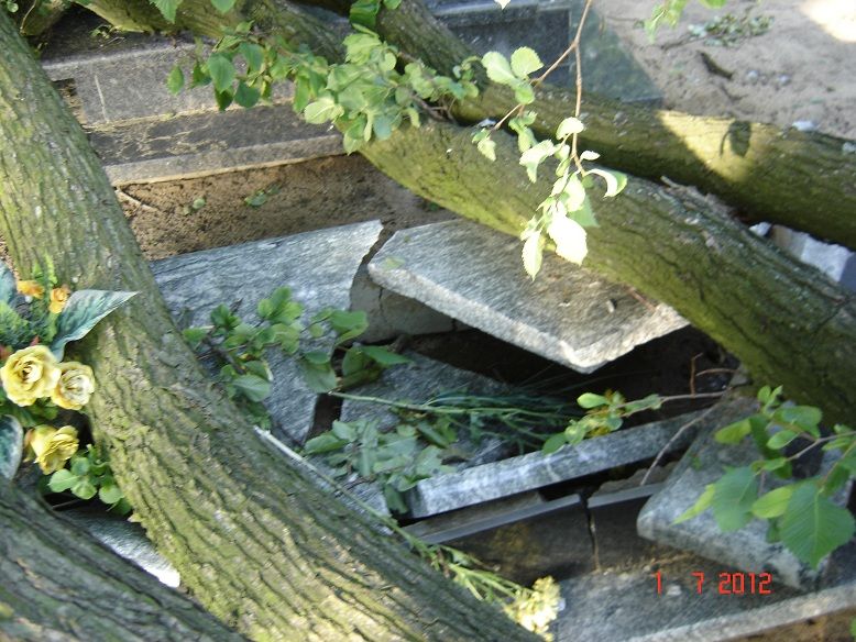 Zniszczenia na cmentarzu w Pelplinie
