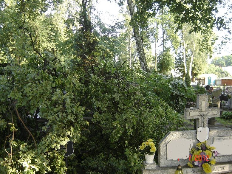 Zniszczenia na cmentarzu w Pelplinie
