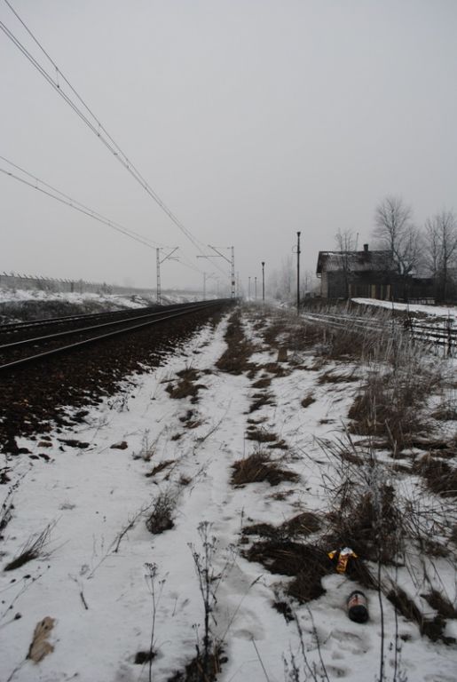 Zima (styczeń 2011)