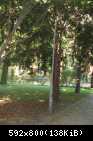 Park w Jarosławiu1